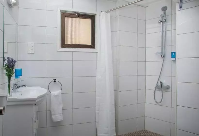 Standaard Driepersoonskamer, Cactus