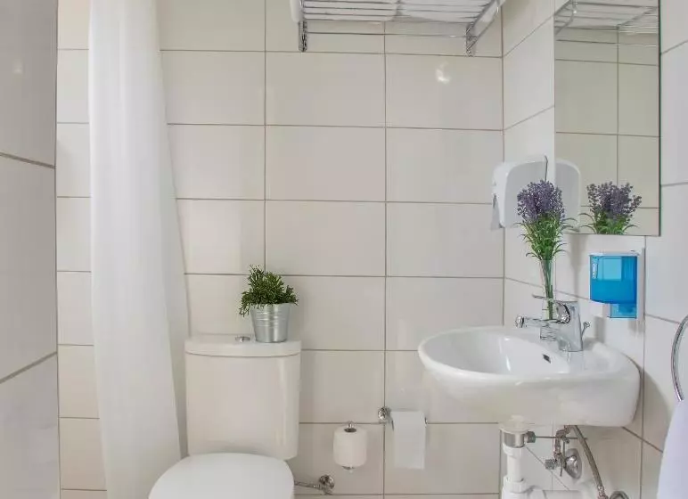 Standaard Éénpersoonskamer, Cactus