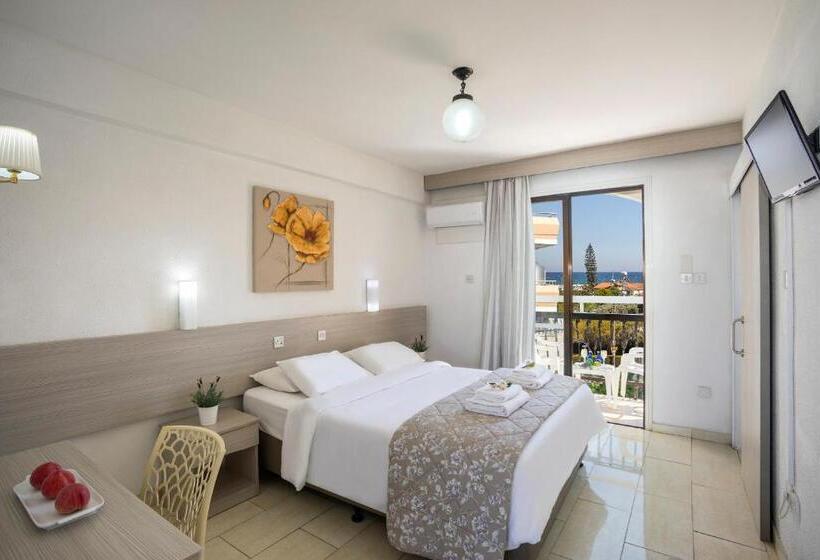 اتاق استاندارد یک نفره, Cactus