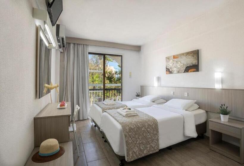 اتاق استاندارد یک نفره, Cactus