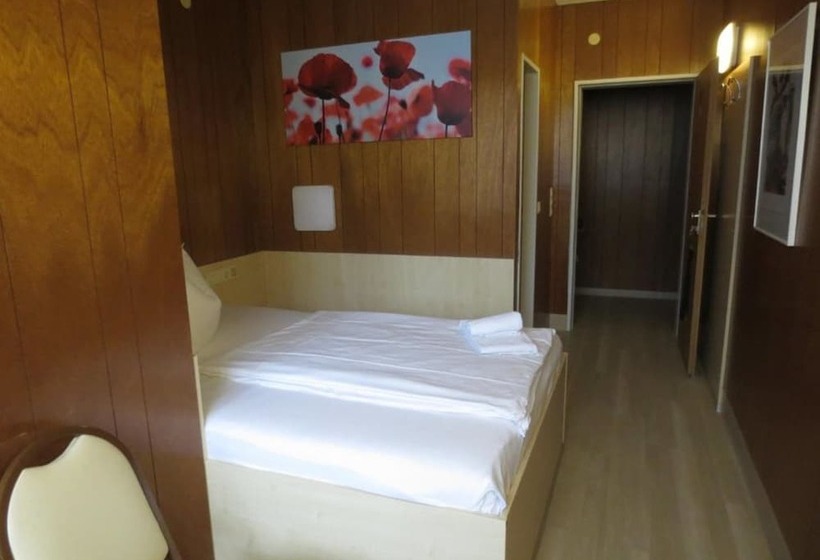 اتاق استاندارد یک نفره, Central Hotel Tegel