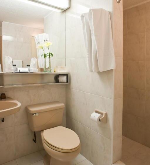 Номер Стандарт, Dann Av. 19