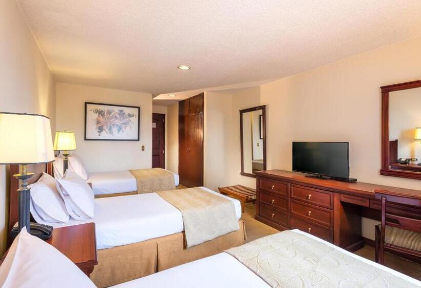 Номер Стандарт Трехместный, Dann Av. 19