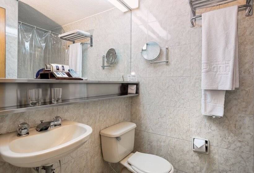 Номер Стандарт, Dann Av. 19