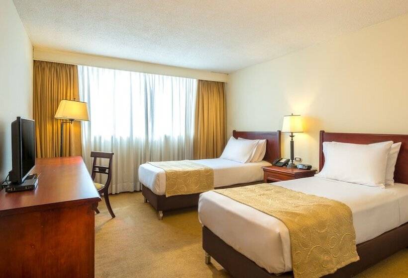 Номер Стандарт, Dann Av. 19