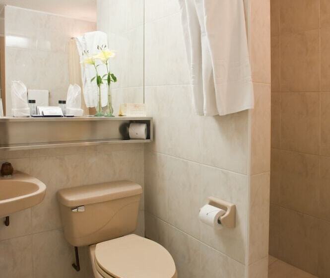 اتاق استاندارد سه نفره, Dann Av. 19