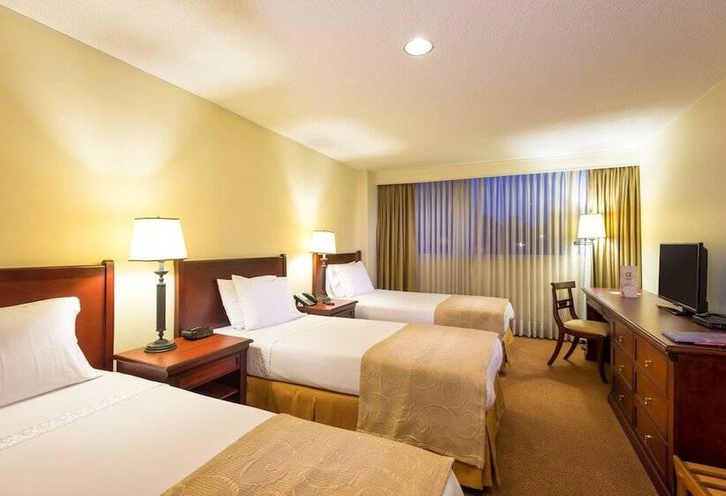 Номер Стандарт Трехместный, Dann Av. 19