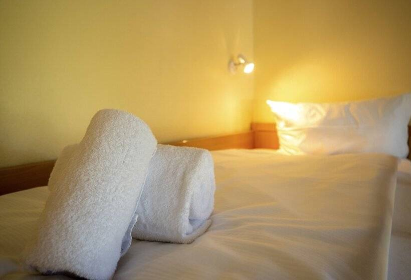 اتاق استاندارد چهار تخته, Familienhotel Citylight