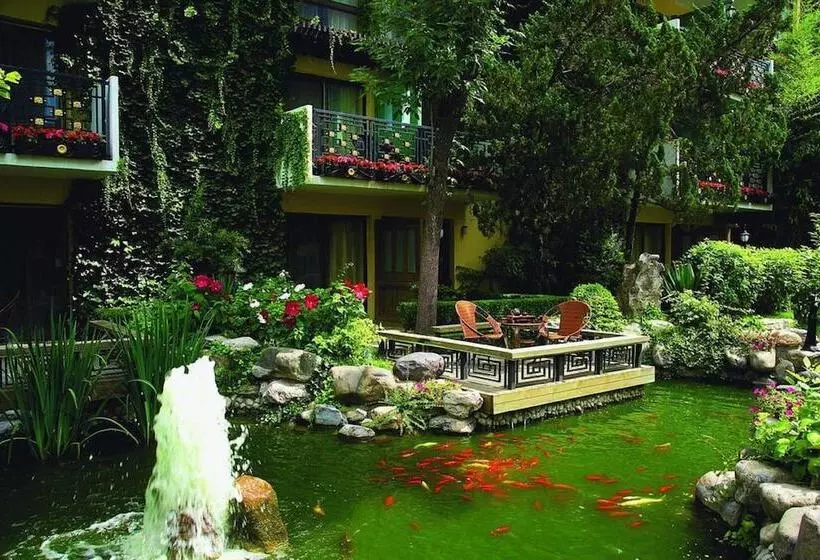 Habitació Business, Jianguo