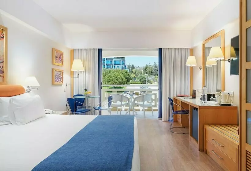 اتاق اجرایی, St Raphael Resort