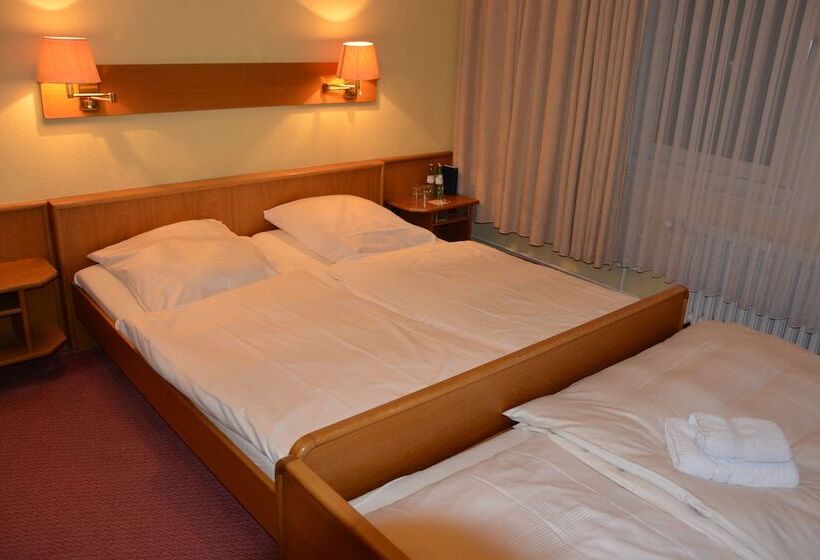 标准三人间, Meyn