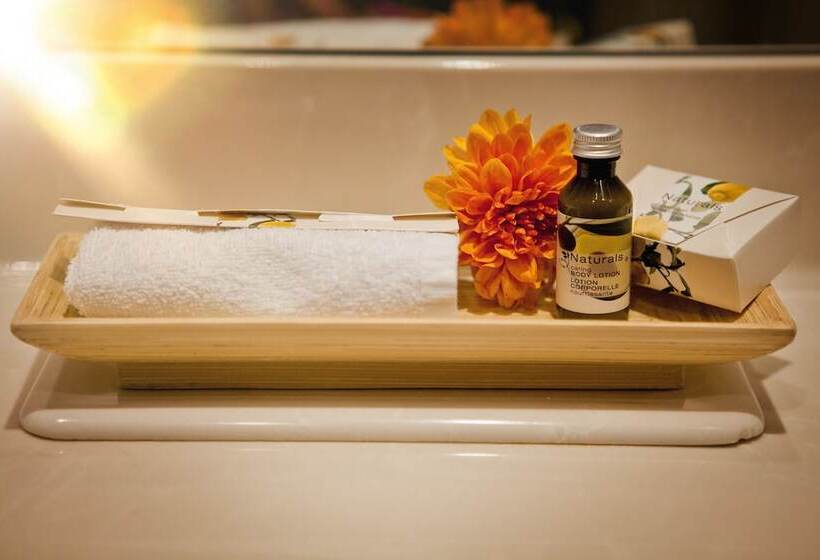 高级大房间, President