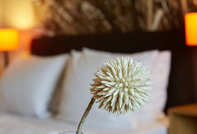 غرفة قياسية فردية, & Restaurant Schröder