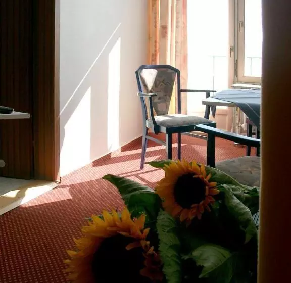 バルコニー付きスタンダードルーム, Zur Schönen Aussicht