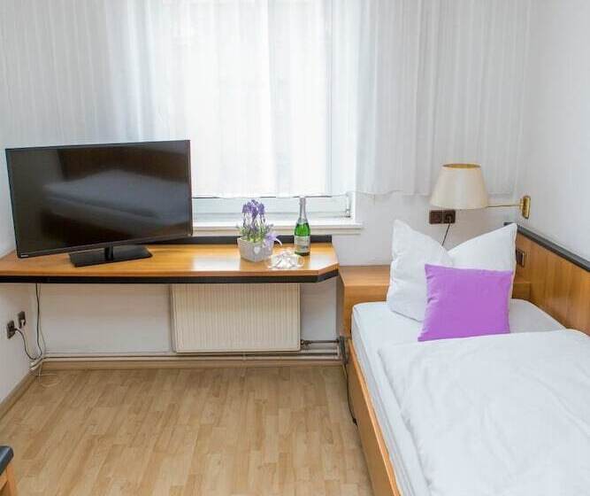 Standart Tek Kişilik Oda, Zwehrener Hof