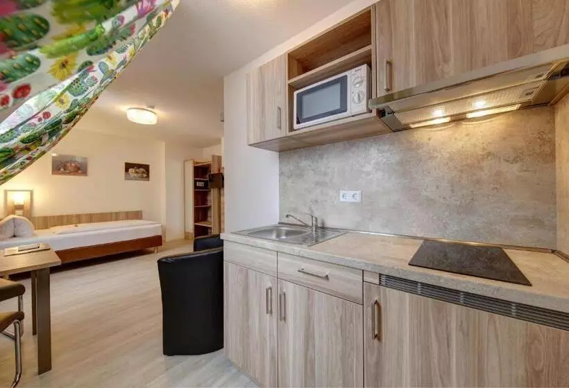 آپارتمان 1 خوابه, Apart Hotel Deutschmeister