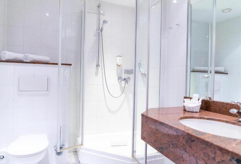 １ベッドルームアパートメント, Dom