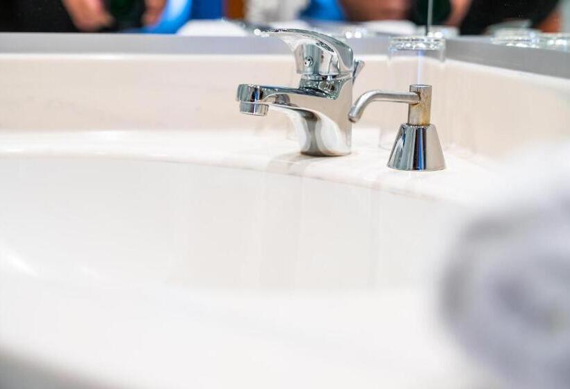 スーペリアシングルルーム, Dom