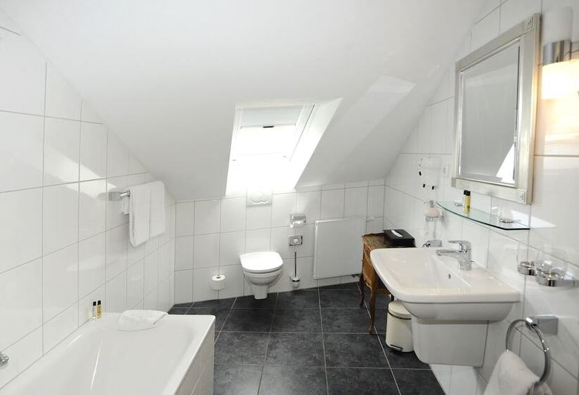 수피리어 룸, Heliopark Bad Hotel Zum Hirsch