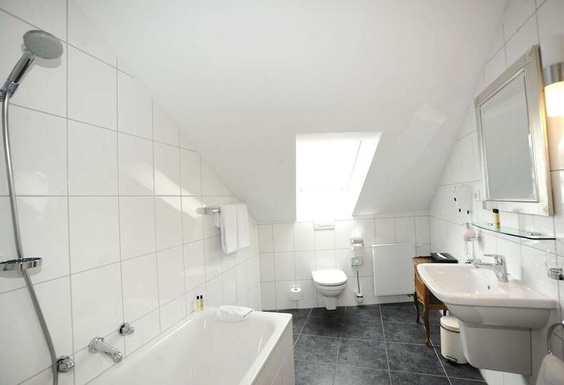 수피리어 룸, Heliopark Bad Hotel Zum Hirsch