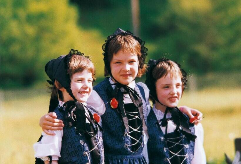 스탠다드 발코니 룸, Hirsch Mit Café Klösterle