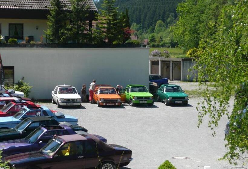 스탠다드 발코니 룸, Hirsch Mit Café Klösterle