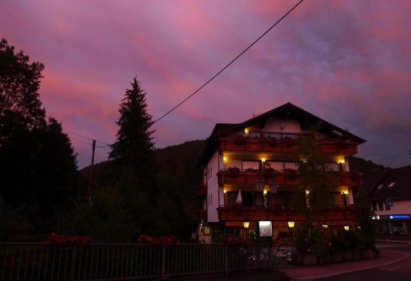 발코니 스탠다드 싱글 룸, Hirsch Mit Café Klösterle