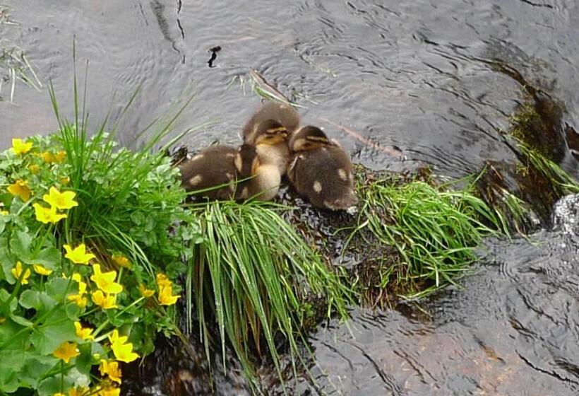 스탠다드 룸, Hirsch Mit Café Klösterle