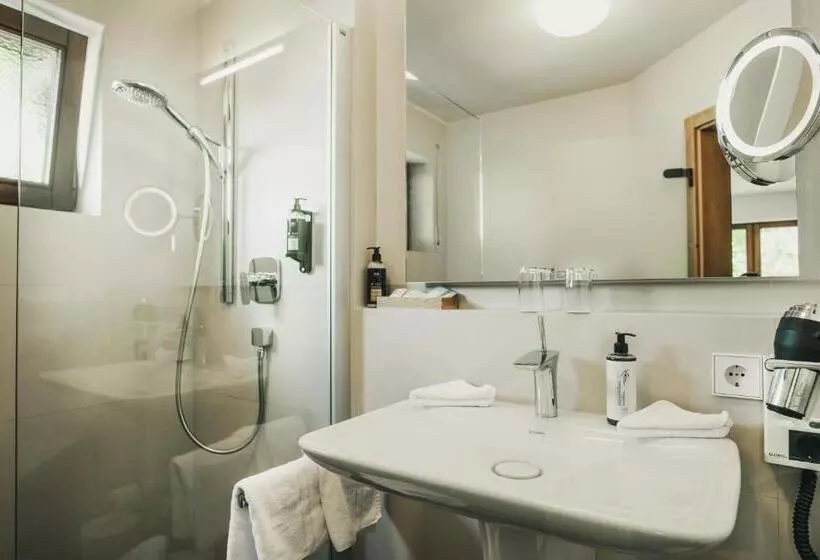 庭の見えるシングルルーム, Lauterbad