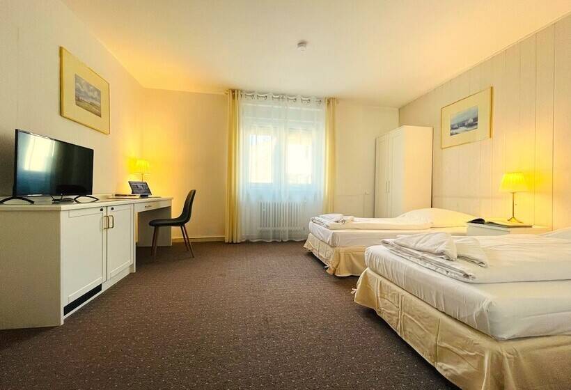 غرفة قياسية, Moguntia