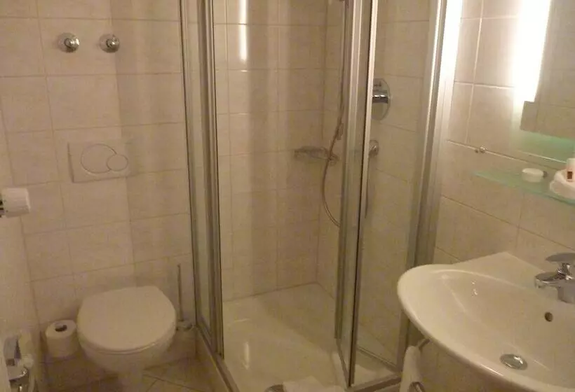 エコノミーシングルルーム, Boutiquehotel Oberkirch Im Zentrum