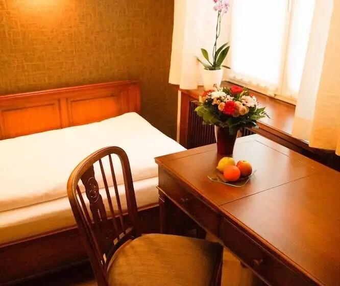 エコノミーシングルルーム, Boutiquehotel Oberkirch Im Zentrum