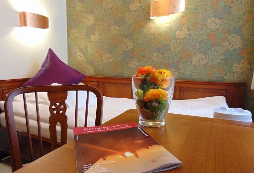 חדר אקונומי יחיד, Boutiquehotel Oberkirch Im Zentrum