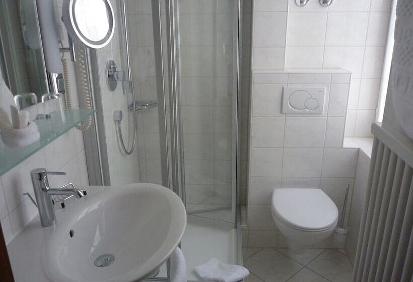 חדר קומפורט יחיד, Boutiquehotel Oberkirch Im Zentrum