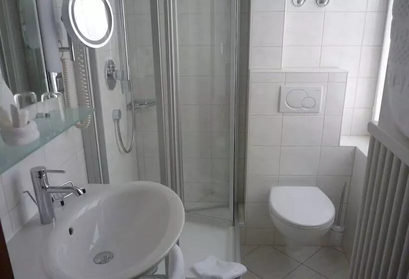 コンフォートシングルルーム, Boutiquehotel Oberkirch Im Zentrum