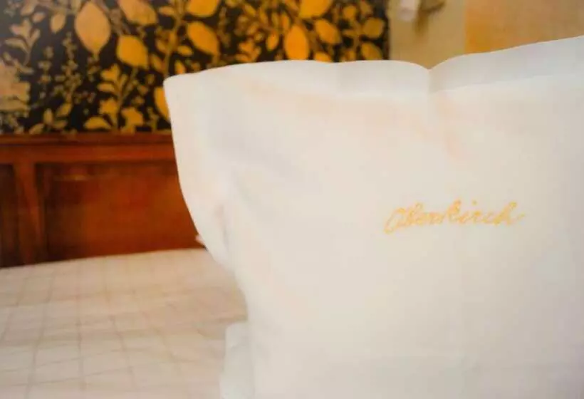 コンフォートシングルルーム, Boutiquehotel Oberkirch Im Zentrum