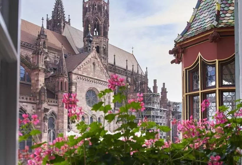 スタンダードシングルルーム, Boutiquehotel Oberkirch Im Zentrum