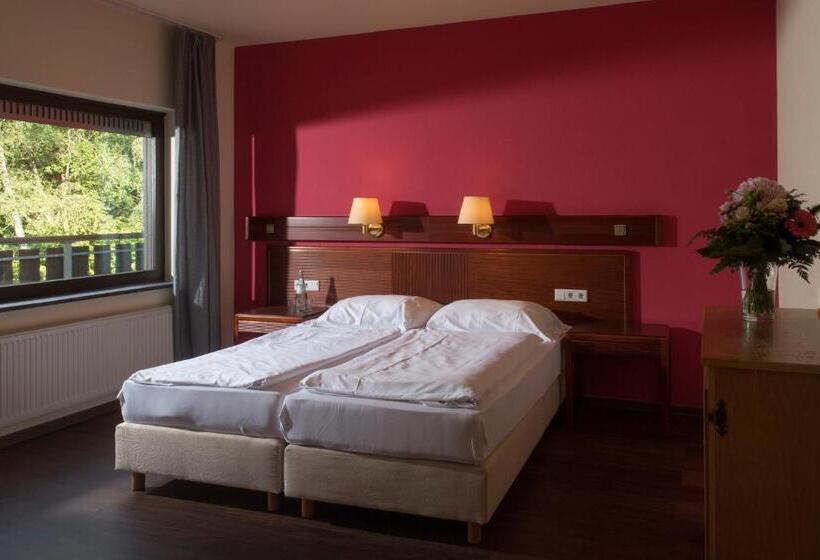 غرفة قياسية, Sauerland Alpin