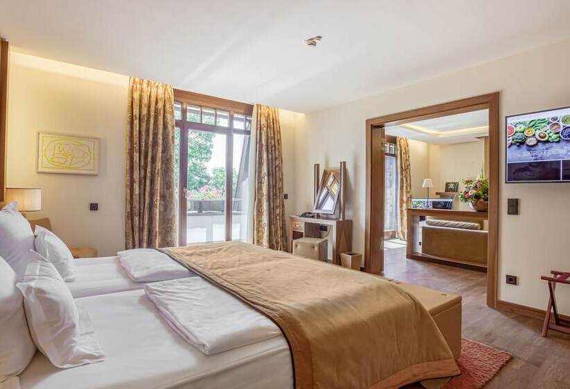 豪华套房, Wald & Schlosshotel Friedrichsruhe