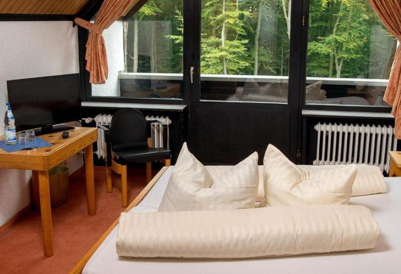 חדר סטנדרט עם מרפסת, Landhotel Westerwald