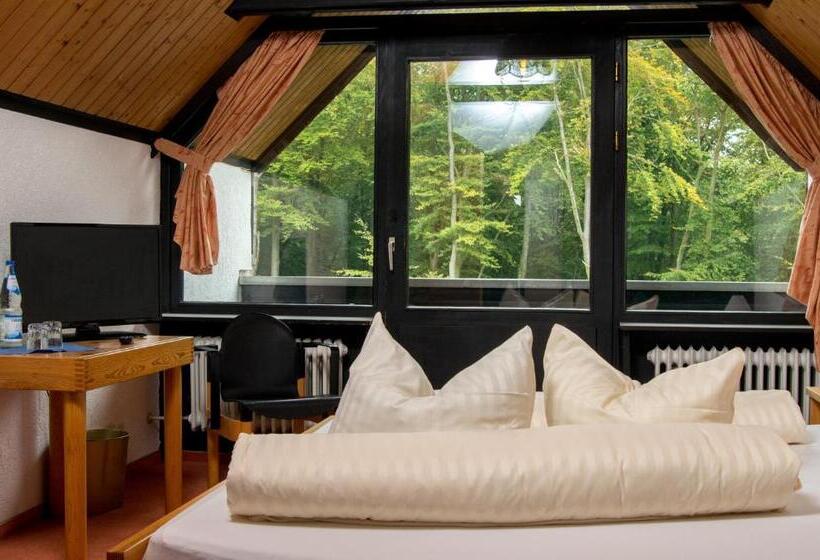 חדר סטנדרט עם מרפסת, Landhotel Westerwald