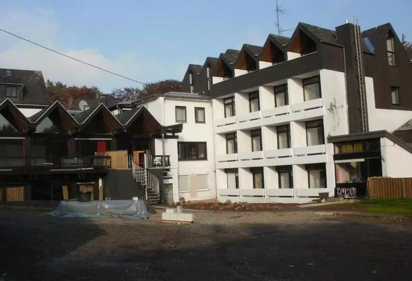 バルコニー付きシングルスタンダードルーム, Landhotel Westerwald
