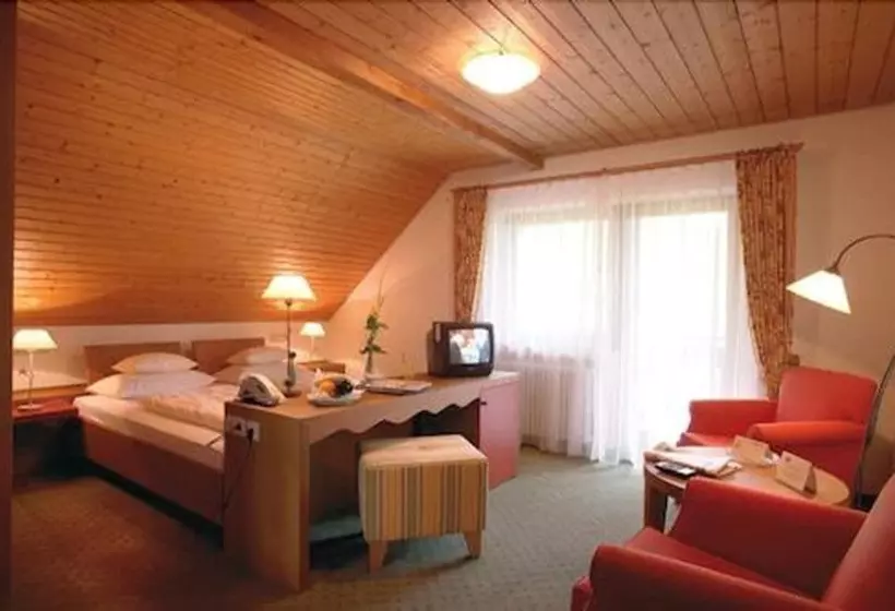 Standard Yhden Hengen Huone, Landidyll Hotel Zum Kreuz