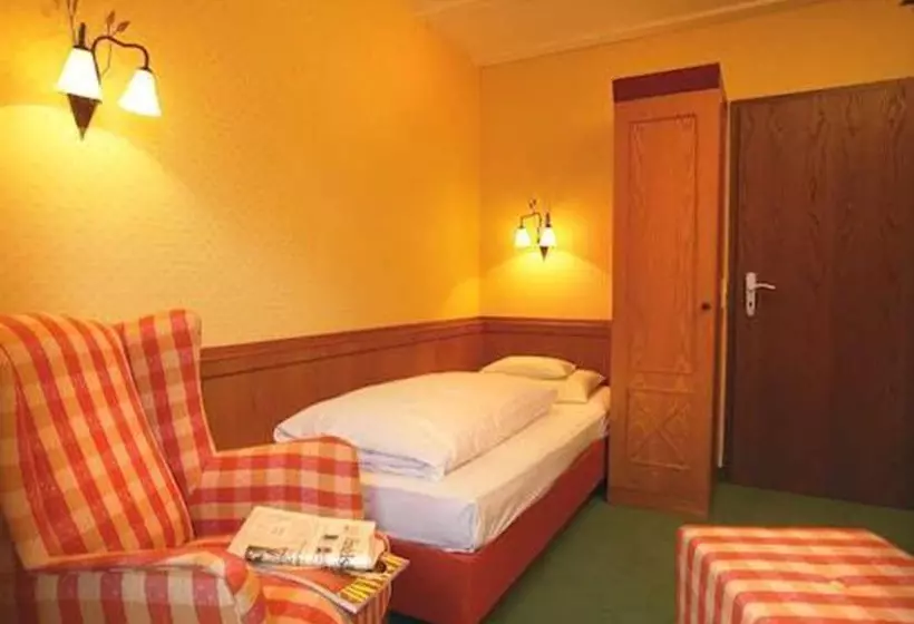 Standard Yhden Hengen Huone, Landidyll Hotel Zum Kreuz
