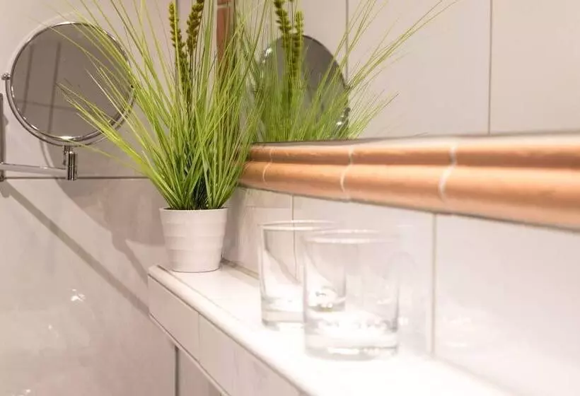 اتاق استاندارد, Rheinhotel Rüdesheim   Wellness