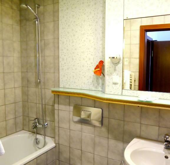 חדר סטנדרט יחיד, Stadthotel Am Wasen