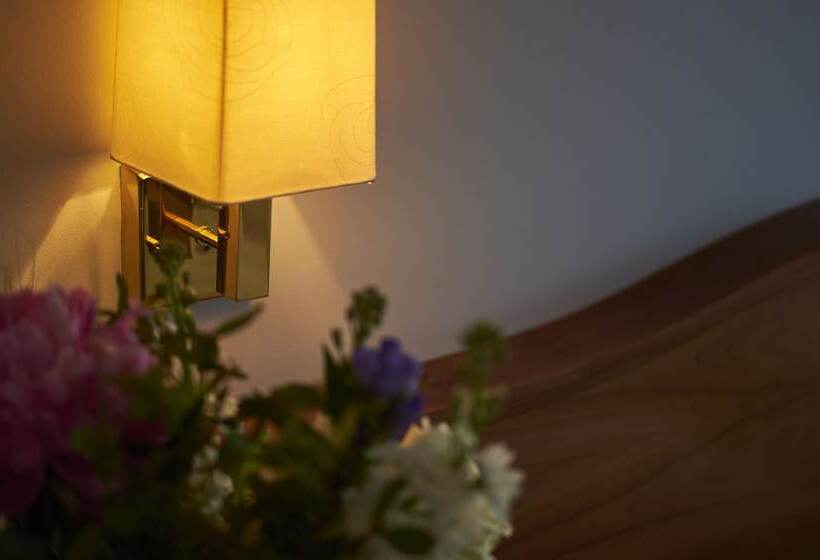 اتاق استاندارد یک نفره, Concorde