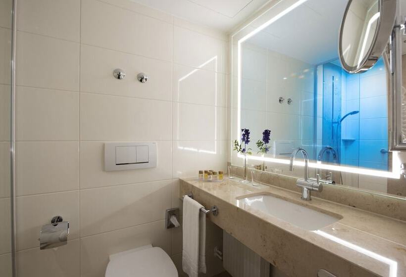 غرفة كلاسيكية, Maritim Titisee