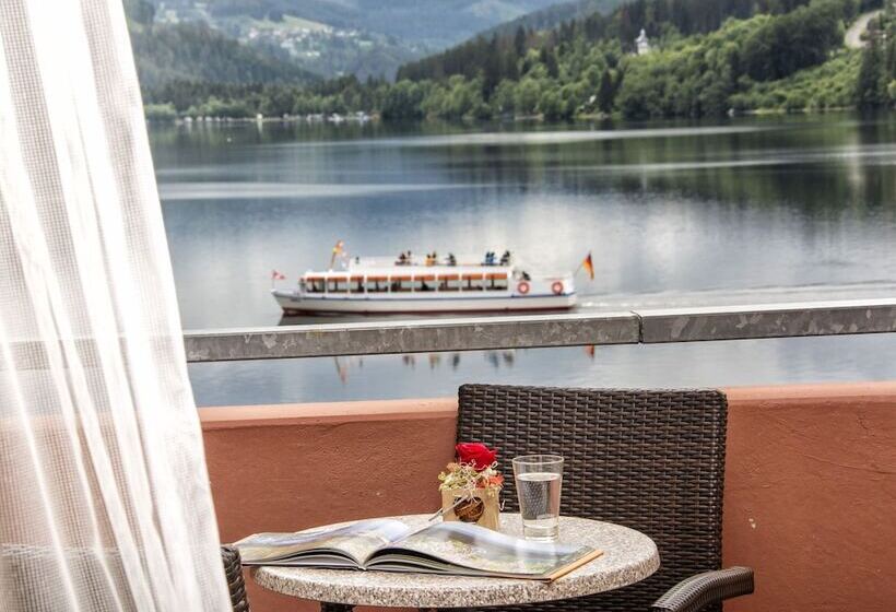 غرفة سوبيريور فردية, Maritim Titisee