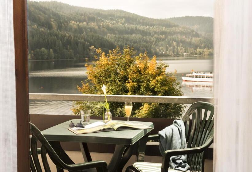 غرفة سوبيريور فردية, Maritim Titisee